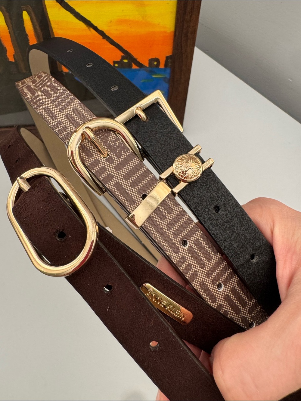 Three-Piece Women’s Belt Set with Gold Accents — Black, Brown & Patterned